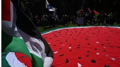 When And How Did The Watermelon Become A Symbol Of Solidarity With The Palestinians?