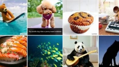 Google Introduces Amazing Feature That Makes Videos From Written Instructions