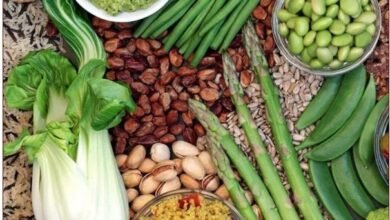Benefits Of Plant-Based Protein For Women