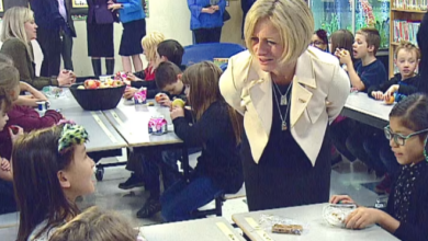 Alberta Nutrition Program