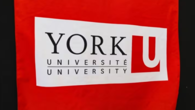 york universty