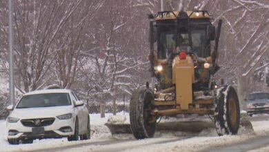 city ofcalgary snowfell