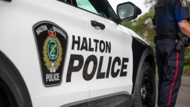halton police