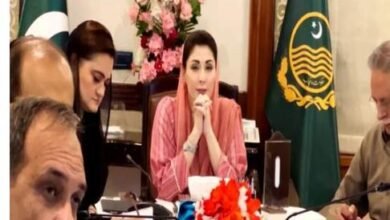 The Decision Of Pml-N To Expand In The Punjab Cabinet