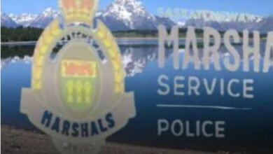 A New Logo And Deputy Chief Have Been Announced