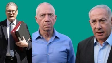 The Petition Against Netanyahu's Arrest Warrant