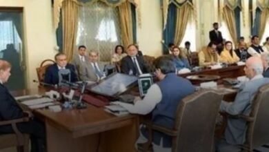 The Federal Cabinet Approved The Hike In Basic Electricity Rates