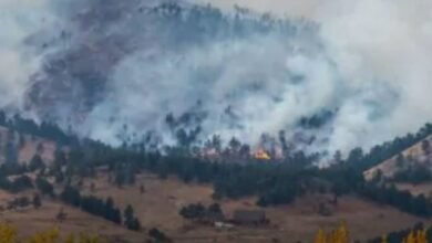 Bc Wildfire Situation