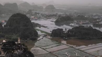 Pyphoon In Japan, Hundreds Of Flights Cancelled