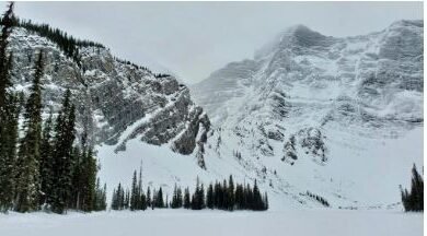 snow pic by city news