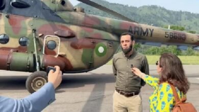 Domestic And International Journalists