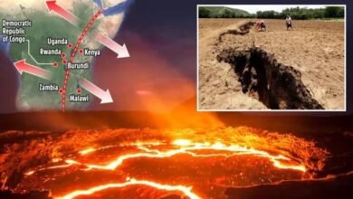 The African continent