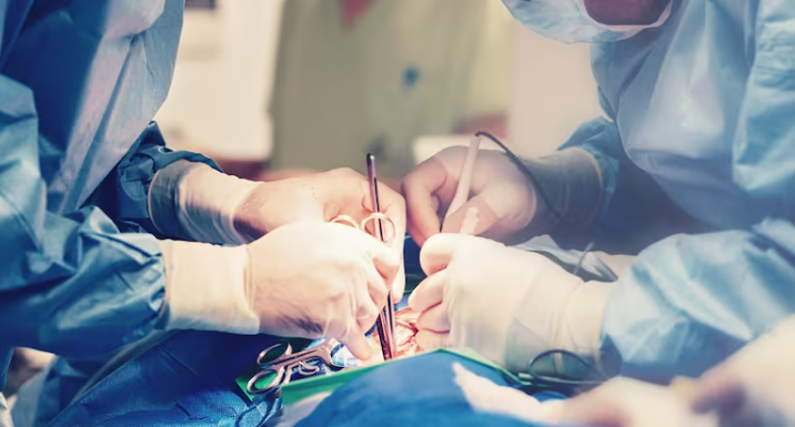 Alberta doctors give health system poor marks in new report