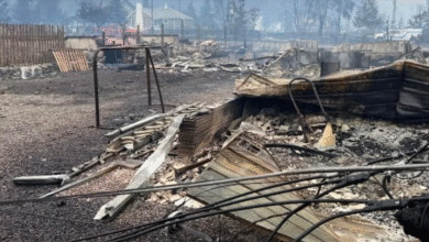 جسپر میں جنگل کی آگ سے تباہی کا منظر