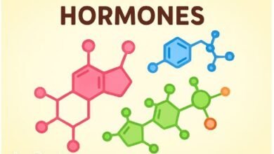 hormones