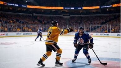 Boston Bruins' brilliant performance, Edmonton defeats Oilers
