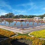 Pakistan Horticulture