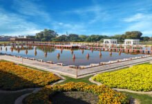 Pakistan Horticulture