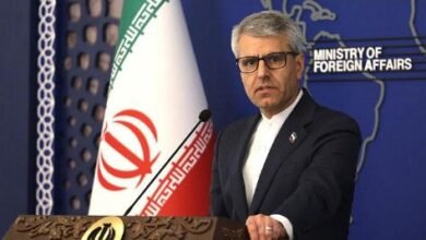 ترجمان ایرانی وزارت خارجہ