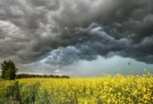 Alberta Tornado Near Rocky Mountain House