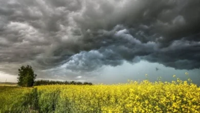 Alberta Tornado Near Rocky Mountain House