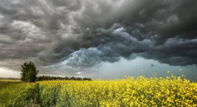 Alberta Tornado Near Rocky Mountain House