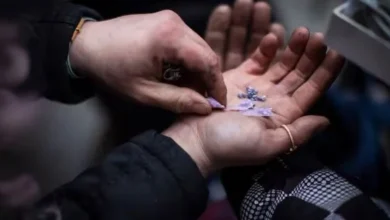 Alberta youth addiction treatment centre and mandatory treatment debate