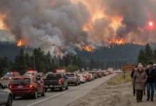 Bald Range wildfire forces thousands to evacuate Summerland in British Columbia