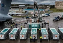Beluga whales being transported from Marineland Canada to a marine facility in Texas during the 2026 relocation program.