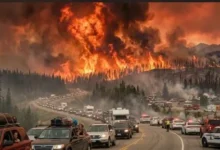 "Massive wildfire burning through a forest in British Columbia as smoke fills the sky during ongoing evacuation efforts."