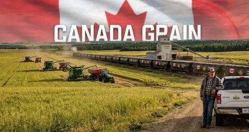 Canadian farmer using drone technology in an agricultural field
