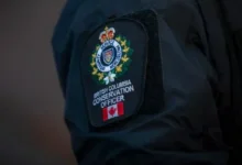 Black bear involved in Maple Ridge attack on 3-year-old girl confirmed killed by police