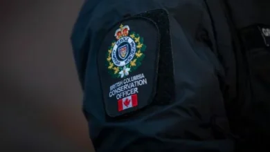 Black bear involved in Maple Ridge attack on 3-year-old girl confirmed killed by police