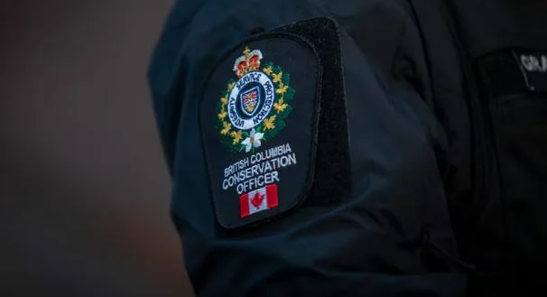 Black bear involved in Maple Ridge attack on 3-year-old girl confirmed killed by police