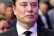 Elon Musk wealth increased by 320 billion dollars in one year