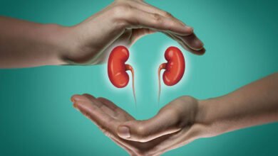 Kidney health and warning signs of kidney disease