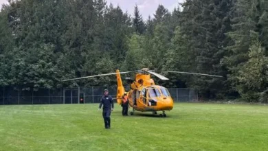 Female climber rescued by helicopter after being stung by more than 100 wasps near Vancouver