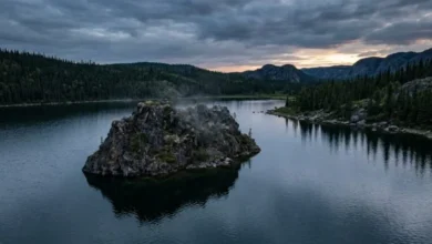 Mysterious floating island in British Columbia's Williston Reservoir