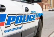 Police investigate human remains found in a Regina backyard