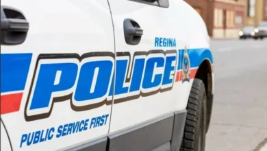 Police investigate human remains found in a Regina backyard