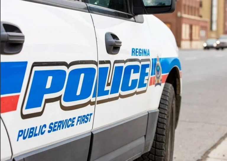 Police investigate human remains found in a Regina backyard