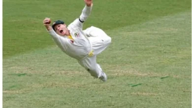 Steve Smith celebrates after taking a catch during a Test match against Bangladesh
