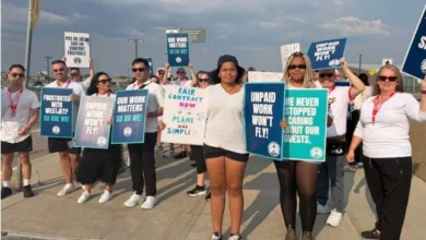 "WestJet Boeing 737 during flight attendants strike in Canada."