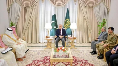 Pakistan and Saudi Arabia discuss major economic partnership and investment
