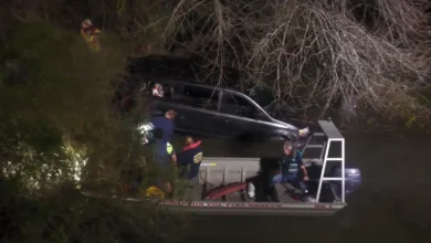 Car plunges into the Rideau River in Ottawa as bystanders rescue two people