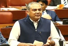 Pakistan Interior Minister Mohsin Naqvi speaking about Maulana Fazlur Rehman and state institutions