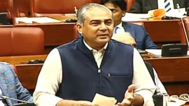 Pakistan Interior Minister Mohsin Naqvi speaking about Maulana Fazlur Rehman and state institutions