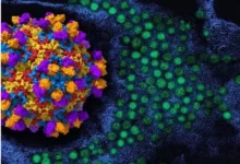 Illustration of a virus representing EV-D68 and concerns about respiratory infections and rare neurological complications in children.