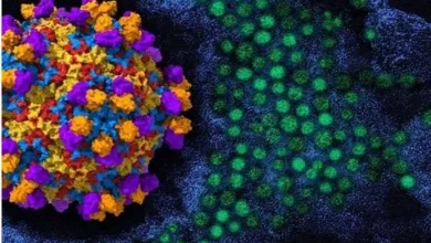 Illustration of a virus representing EV-D68 and concerns about respiratory infections and rare neurological complications in children.